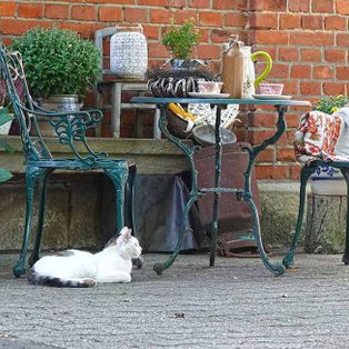 Josef Koiter freut sich auf Ihren Besuch